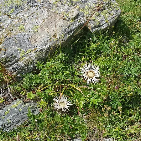 Hotel Boutique-hotel Vincenz