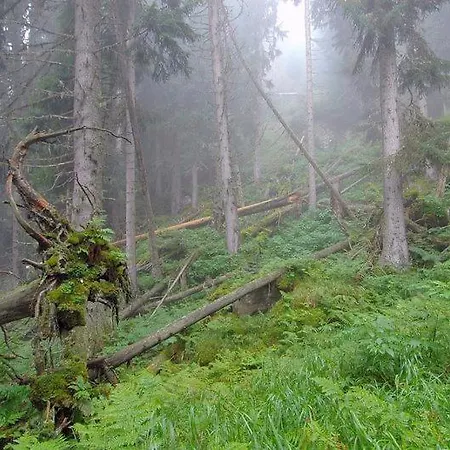 Boutique-hotel Vincenz 3*