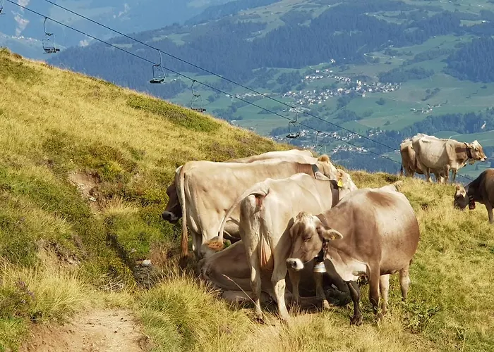 Boutique-hotel Vincenz 3* Breíl