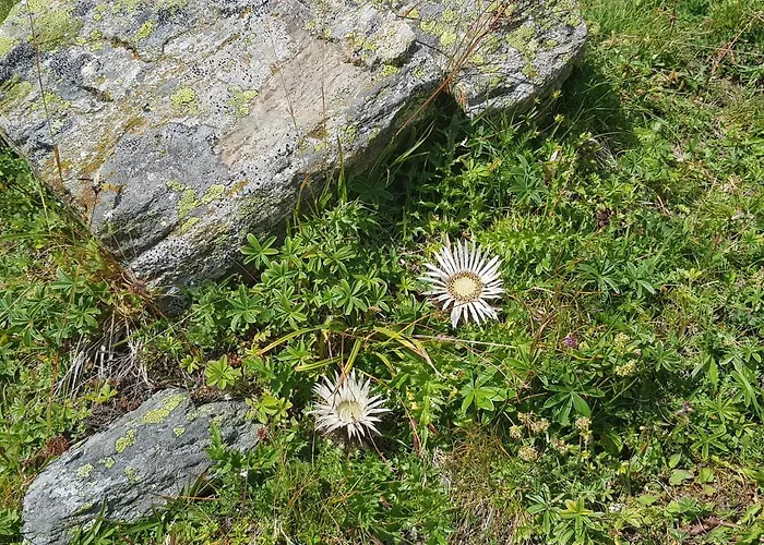 Hotel Boutique-hotel Vincenz