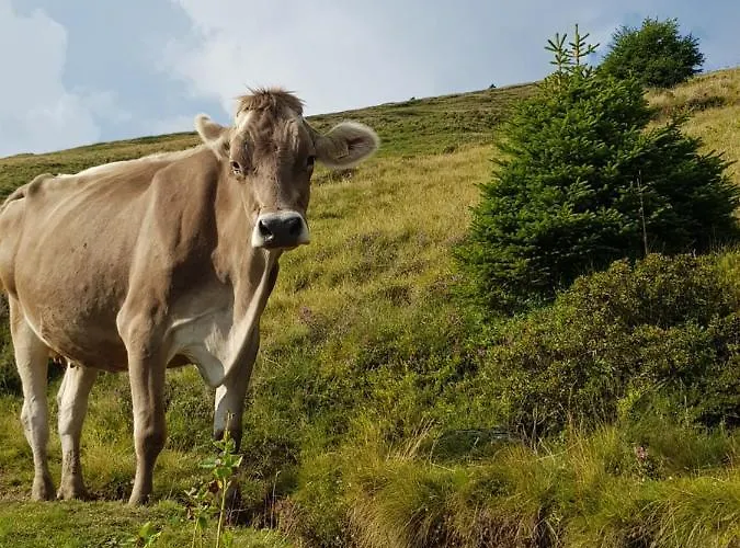 Boutique-hotel Vincenz 3*