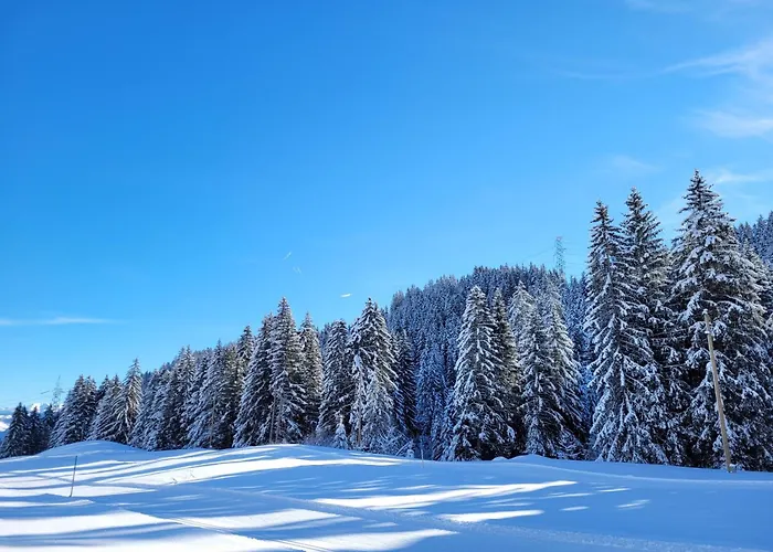 Boutique-hotel Vincenz Hotel