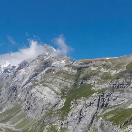 호텔 Boutique-hotel Vincenz 3*