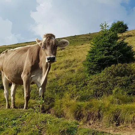 Boutique-hotel Vincenz 3*