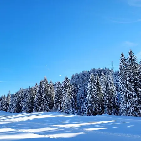 Boutique-hotel Vincenz 호텔