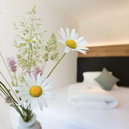 Boutique-hotel Vincenz 호텔 3*