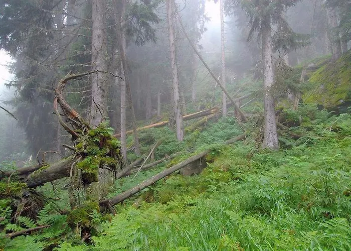 Boutique-hotel Vincenz 3*