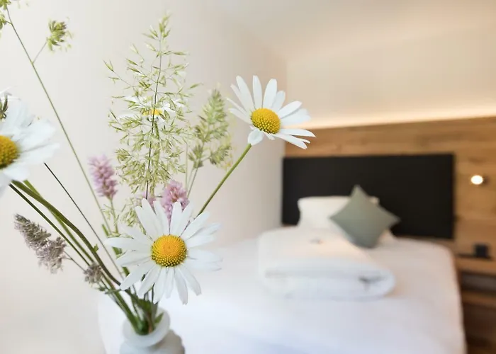 Boutique-hotel Vincenz Hotel 3*